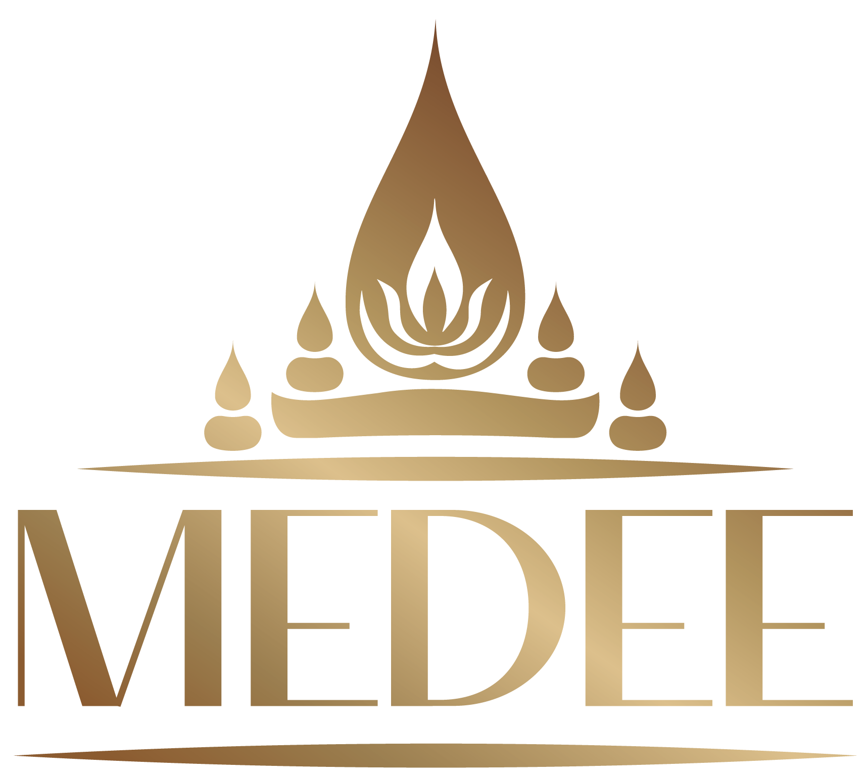 Medee Logo 2